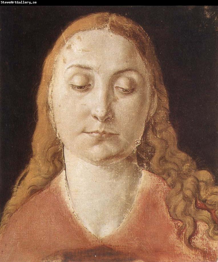 Albrecht Durer Portrait of a woman with Loose Hair